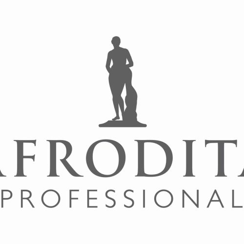 LOGO professional